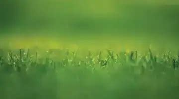 Abhinandan Lodha Todays Land Matheran Plots Hoabl Blue Zone