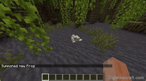 Image result for Minecraft Frog Command Block