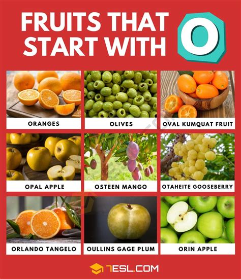 Fruits That Start with O in English • 7ESL