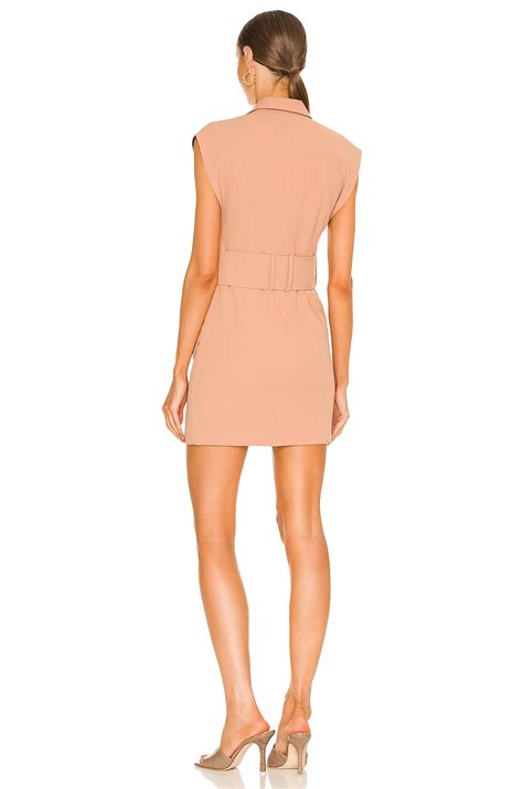 Karina Grimaldi Marlo Mini Dress in Pecan | REVOLVE