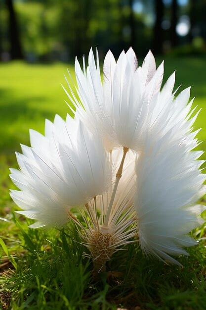 Badminton Racket Wallpaper 的图像结果