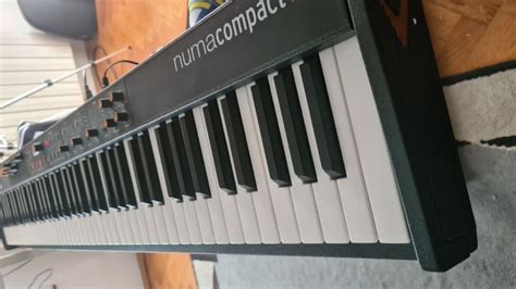 Image result for Numa Compact 2