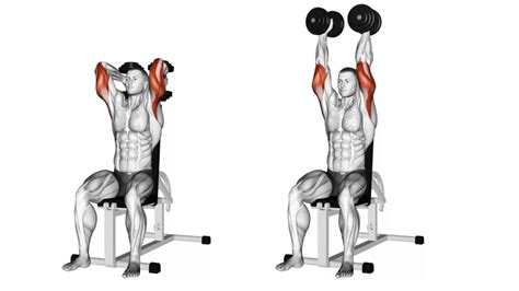 Overhead Two Handed Triceps Extension