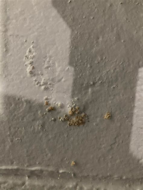 Drylok basement bubbling question - please help | DIY Home Improvement ...