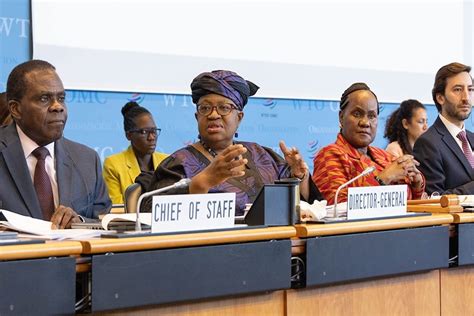 WTO Reform 的图像结果