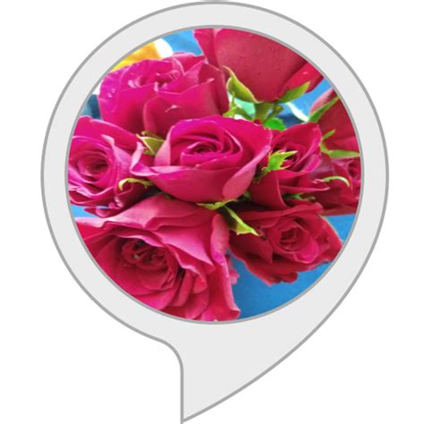 Amazon.in: rock paper scissors : Alexa Skills