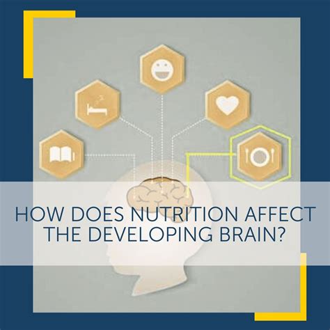 After birth, brain growth depends critically on the quality of a child’s nutrition. Because of ...