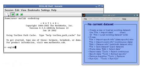 Image result for How to Manually Code in EEGLAB