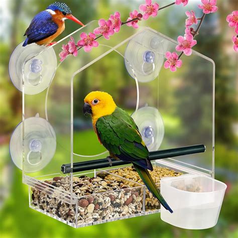 Buy Window Bird Feeder with Water Feeder, Awroutdoor Acrylic Clear Bird ...