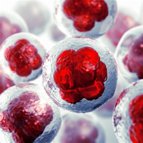 Image result for Science Cells