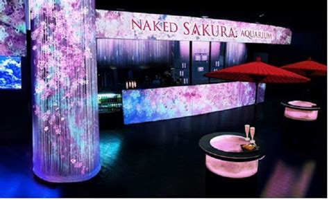 Maxell Aqua Park in Tokyo stellt aufwendige Sakura-Installation vor