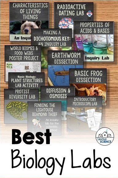 Biology Lab Experiments 的图像结果