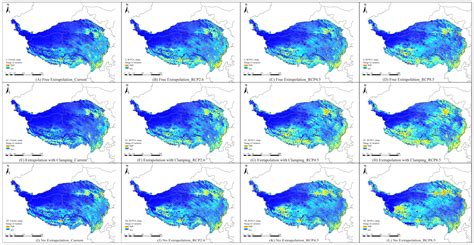 Optimized Extrapolation Methods Enhance Prediction of Elsholtzia densa ...