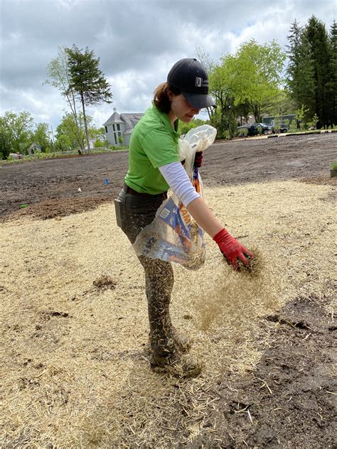Dormant Grass Seeding - Landmark Landscapes, Inc