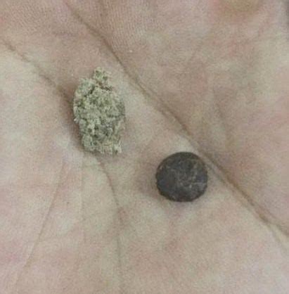 My Experiments With Hash-Making: What Makes It Good Is Bum Fluff