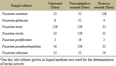 New Rabbit Erythrocyte Specific Mycelial Lectins from Fusarium sp. with ...