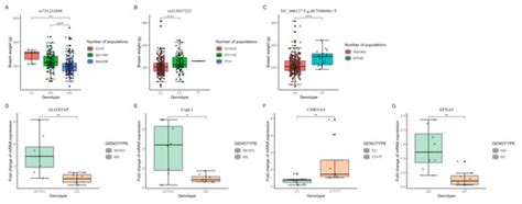 Identification of New Genes and Genetic Variant Loci Associated with ...