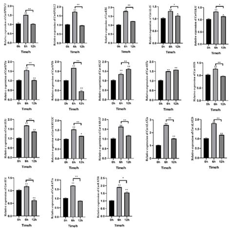 Aminotransferase Class I and II Gene Family in the Jinjiang Oyster ...