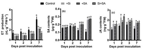 Effects of Combined Application of Potassium Silicate and Salicylic ...