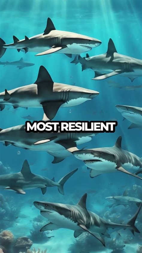 Sharks Older Than Trees?! 🦈🌳 Mind-Blowing Facts! #Shorts - YouTube