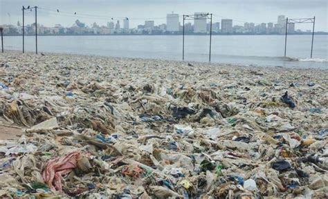 在一点安达曼海岛上的肮脏的海滩在印度洋 库存照片. 图片 包括有 在一点安达曼海岛上的肮脏的海滩在印度洋 - 55933958