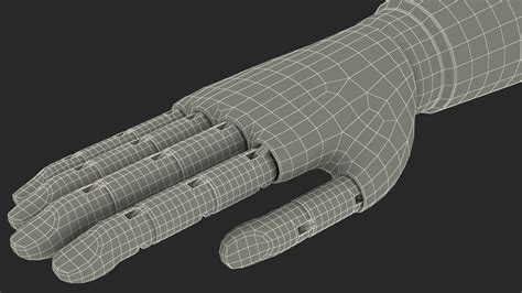Mannequin Hand Black Rigged for Maya 3D Model $49 - .ma - Free3D