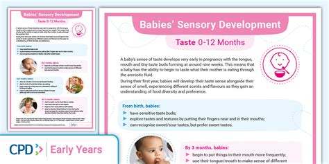 Babies' Sensory Development: Taste 0-12 Months (Poster)