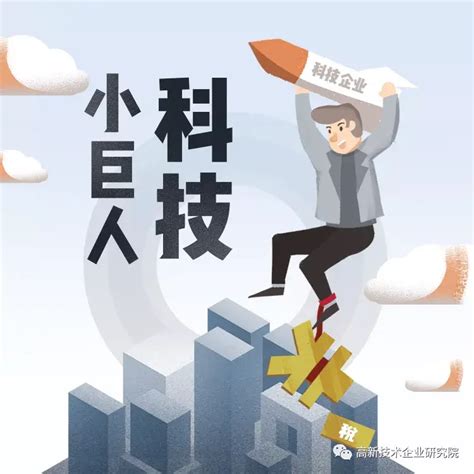 上海市科技小巨人（培育）企业项目系列¬--- “创业导师一对一”辅导会在同济科技园孵化器基地成功举办_上海同济科技园孵化器有限公司