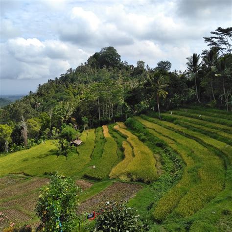 Indonesia Bali - Foto gratis en Pixabay - Pixabay