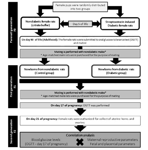 -Experimental design. | Download Scientific Diagram