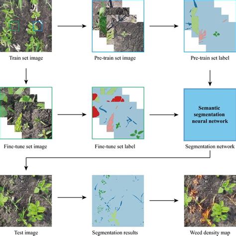 Image result for Image Segmentation Neural Network