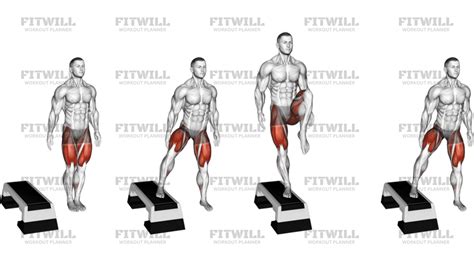 Image result for Lateral Step Up Exercise