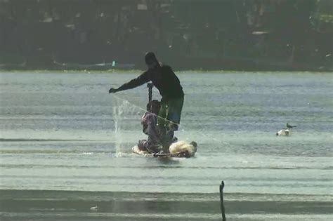 Tilapia growers sa Batangas humirit ng window hours sa gitna ng Taal ...