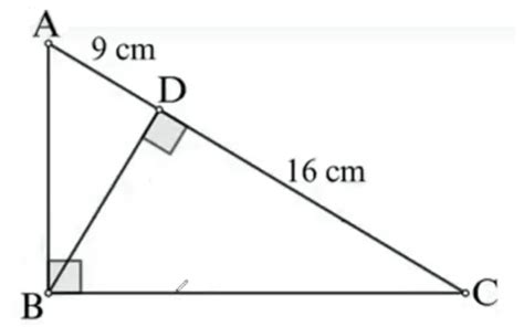 Image result for Sample Geometry Problems
