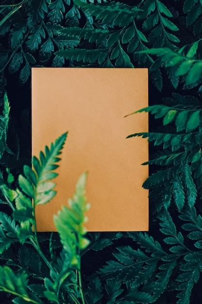 Blank envelope and green leaves in nature paper card as background ...