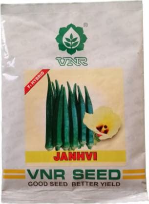 VNR VNR OKRA SEED 100G Seed Price in India - Buy VNR VNR OKRA SEED 100G ...