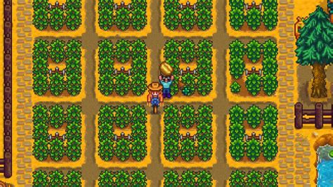 Stardew Valley Making Coffee - Scalacube