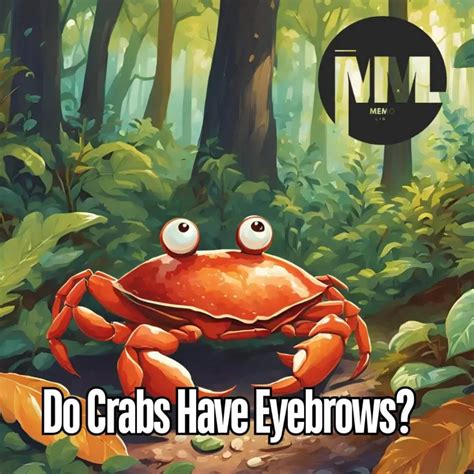 Do Crabs Have Eyebrows? - AumVibe