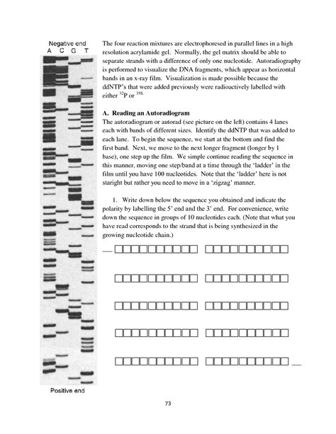 How to Code DNA Sequence Practice 的图像结果