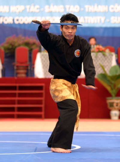 Image result for Silat Boxing
