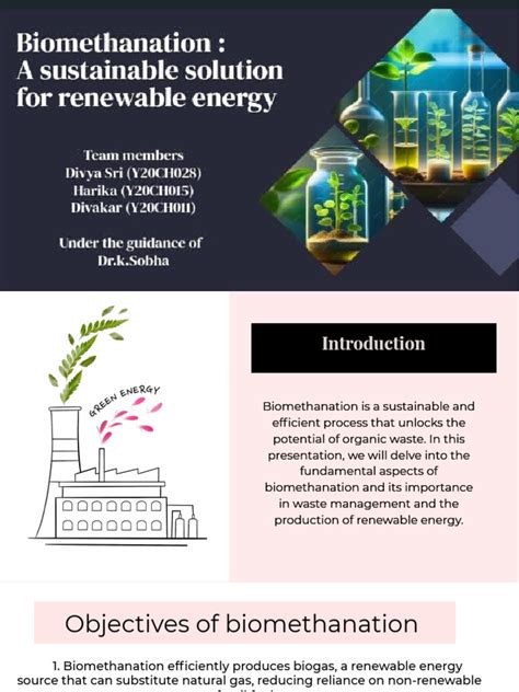 Biomethanation 的图像结果