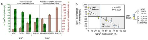 hTERT DNA Methylation Analysis Identifies a Biomarker for Retinoic Acid ...
