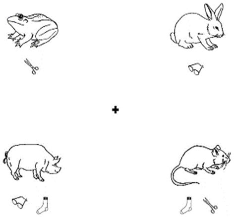 Cognitive Flexibility Moderates the Predictive Effect of Phonological ...