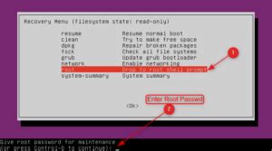 Image result for Boot Linux in Recovery Mode