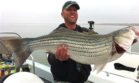 Bass Fish In Spanish Language at Lisa Sotelo blog