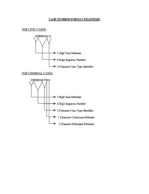 Image result for Case Assignment Number Format