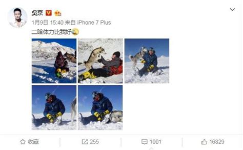 吴京攀登雪山晒出登山照片：第二天再次发微博！“得瑟，感冒，高反了”-新闻资讯-高贝娱乐
