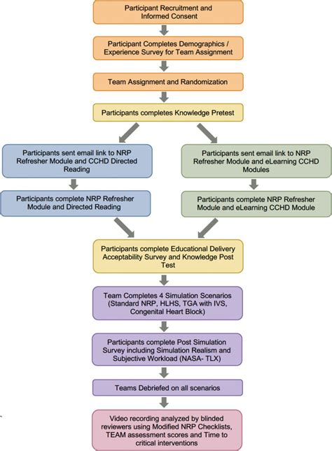 Image result for Neonatal Resuscitation Algorithm 2024