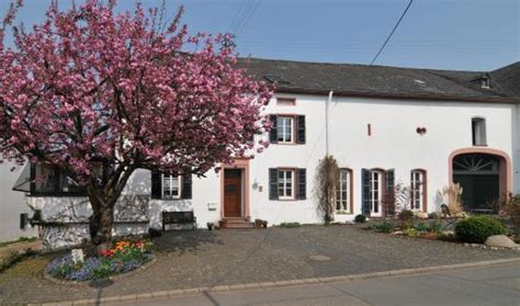 WEINGUT BURG (Longuich) - Guesthouse Reviews & Photos - Tripadvisor