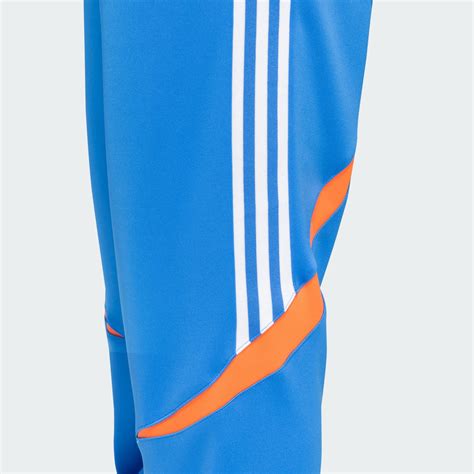 adidas India Cricket One Day International Pants - Blue | adidas India
